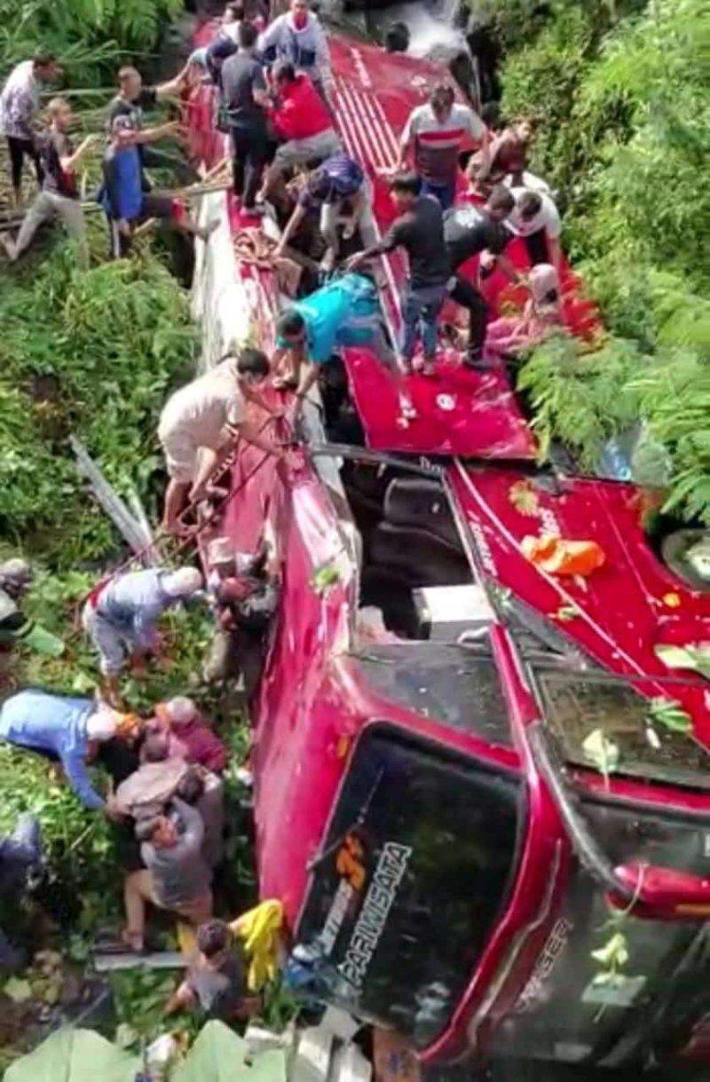 Bus pariwisata yang diduga rombongan dari Tangerang Selatan terperosok ke jurang di wisata Guci, Tegal, Jawa Tengah